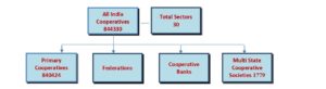 COOPERATIVES IN INDIA: A FACTUAL ELUCIDATION
